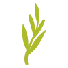 🌿 Эмодзи «flowers - цветы» для Telegram