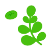 🌿 Эмодзи «flowers - цветы» для Telegram