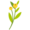 🌿 Эмодзи «flowers - цветы» для Telegram