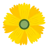 🌿 Эмодзи «flowers - цветы» для Telegram