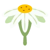 🌿 Эмодзи «flowers - цветы» для Telegram