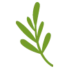 🌿 Эмодзи «flowers - цветы» для Telegram