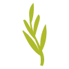 🌿 Эмодзи «flowers - цветы» для Telegram