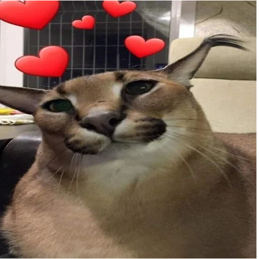💞 Стикер «Floppa» для Telegram