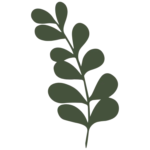 🌿 Эмодзи «flower lover» для Telegram