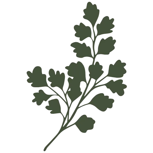 🌿 Эмодзи «flower lover» для Telegram