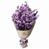 🌟 Эмодзи «୨ Flower» для Telegram