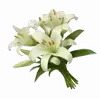 🌟 Эмодзи «୨ Flower» для Telegram