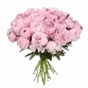 🌟 Эмодзи «୨ Flower» для Telegram