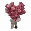 Эмодзи ୨ Flower для Telegram — скачать