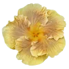 🤩 Эмодзи «Flowers» для Telegram