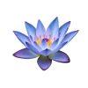 🤩 Эмодзи «Flowers» для Telegram