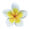 🤩 Эмодзи «Flowers» для Telegram