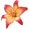 🤩 Эмодзи «Flowers» для Telegram