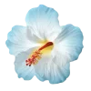🤩 Эмодзи «Flowers» для Telegram