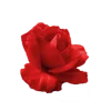 🤩 Эмодзи «Flowers» для Telegram