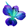 🤩 Эмодзи «Flowers» для Telegram