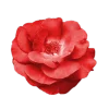 🤩 Эмодзи «Flowers» для Telegram