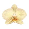 🤩 Эмодзи «Flowers» для Telegram