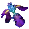🤩 Эмодзи «Flowers» для Telegram