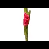 🤩 Эмодзи «Flowers» для Telegram