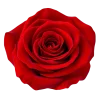 🤩 Эмодзи «Flowers» для Telegram