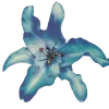 🤩 Эмодзи «Flowers» для Telegram