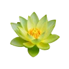 🤩 Эмодзи «Flowers» для Telegram