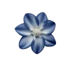 🤩 Эмодзи «Flowers» для Telegram