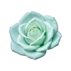 🤩 Эмодзи «Flowers» для Telegram