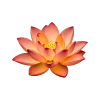 🤩 Эмодзи «Flowers» для Telegram