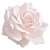 🌫 Эмодзи «Flowers Aesthetic» для Telegram