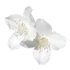 🌫 Эмодзи «Flowers Aesthetic» для Telegram