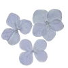 🌫 Эмодзи «Flowers Aesthetic» для Telegram