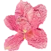 Эмодзи Pressed flowers для Telegram — скачать