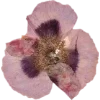 🫥 Эмодзи «Pressed flowers» для Telegram