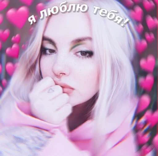Стикерпак дашка каплан для Telegram — скачать