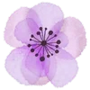 🌸 Эмодзи «Watercolor Flowers» для Telegram