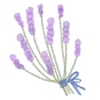 🪻 Эмодзи «Watercolor Flowers» для Telegram