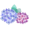 🪻 Эмодзи «Watercolor Flowers» для Telegram