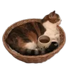 🐈 Эмодзи «Flowers, tea and peace» для Telegram