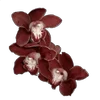 🌺 Эмодзи «Flowers, tea and peace» для Telegram