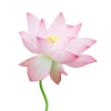 🪷 Эмодзи «Flowers, tea and peace» для Telegram