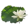 🪷 Эмодзи «Flowers, tea and peace» для Telegram