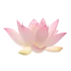 🪷 Эмодзи «Flowers, tea and peace» для Telegram