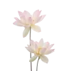 🪷 Эмодзи «Flowers, tea and peace» для Telegram