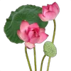 🪷 Эмодзи «Flowers, tea and peace» для Telegram