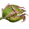 🌸 Эмодзи «Flowers, tea and peace» для Telegram