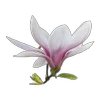 🌸 Эмодзи «Flowers, tea and peace» для Telegram