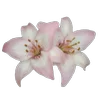 🪷 Эмодзи «Flowers, tea and peace» для Telegram